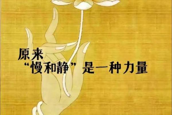 把慧命交于龙天:寻求内心平衡与智慧之光 把慧命交于龙天:寻求内心平衡与智慧之光