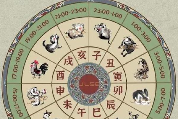 男孩子的生肖命运分析：哪些生肖更具优势与潜力？