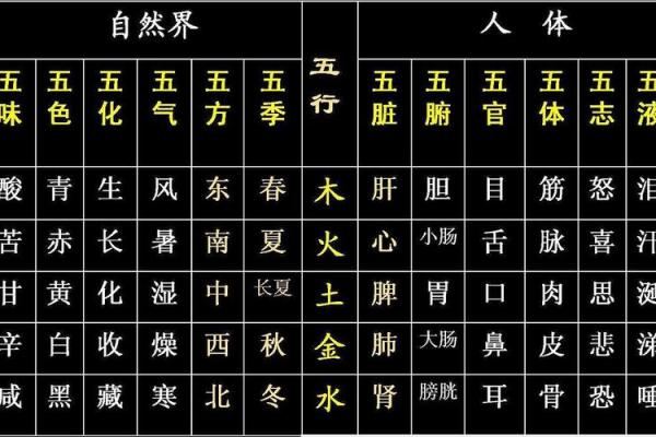 如何查找自己的五行命理：命火命的全面解析
