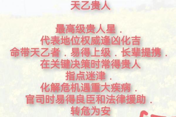 高命天子命格男:命理风水与人生智慧的结合 高命天子命格男:命理风水与人生智慧的结合