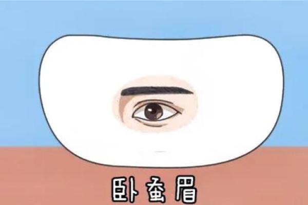 眉毛与财富：揭秘你的发财命的秘密