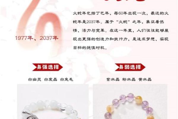 属蛇二十三日出生的人命运分析与性格特点 属蛇二十三日出生的人命运分析与性格特点