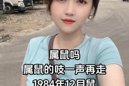 属鼠96年女性的命运解析：智慧与机遇的奇妙结合