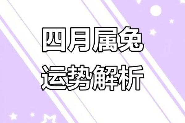 十一月兔年运势大揭秘:属于你的幸运与挑战 十一月兔年运势大揭秘:属于你的幸运与挑战