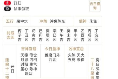 揭开农历十月二十四日出生者的命运之谜