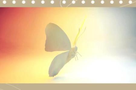 十月二十二日出生的命运与性格解析：探寻天赋与人生之路