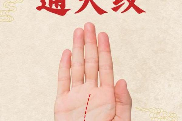 女人手掌横纹所蕴含的命运玄机与智慧 女人手掌横纹所蕴含的命运玄机与智慧