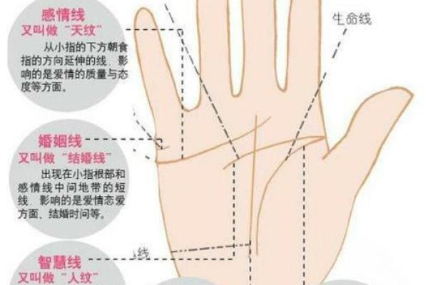 解析认定水命的标准:揭示命运与五行之谜 解析认定水命的标准:揭示命运与五行之谜