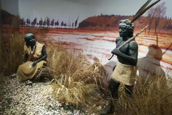 三颗米的命与生肖的奇妙关系探秘 三颗米的命与生肖的奇妙关系探秘