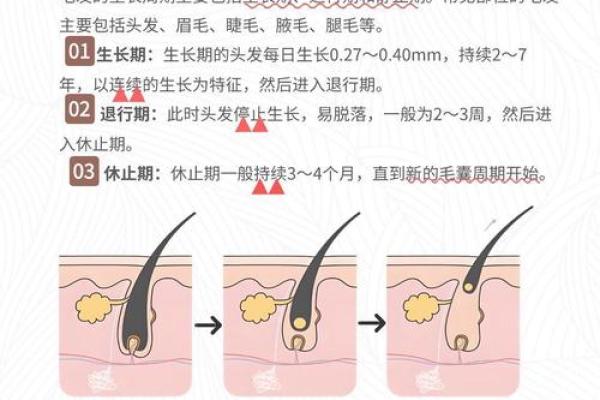 女人身毛多与命运的深层联系解析 女人身毛多与命运的深层联系解析
