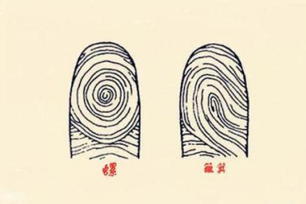 女人手指上的三个螺象征着什么命运?解读与分析 女人手指上的三个螺象征着什么命运?解读与分析