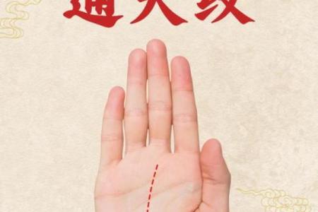 女人手掌横纹所蕴含的命运玄机与智慧