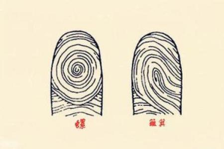女人手指上的三个螺象征着什么命运？解读与分析