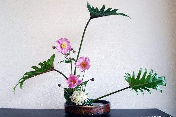 七月二十四出生的命运解析:掌握人生的金钥匙 七月二十四出生的命运解析:掌握人生的金钥匙