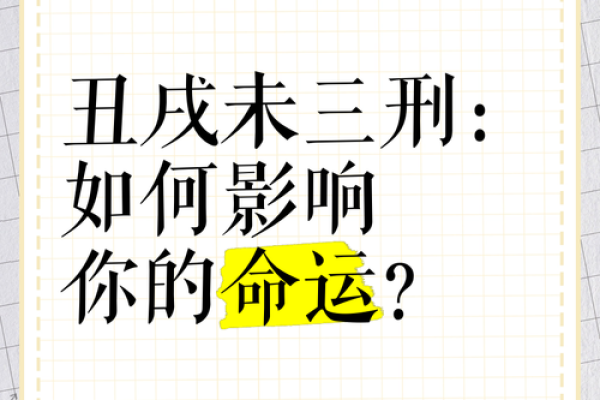 三辛不看命:探索命运与努力的真实关系 三辛不看命:探索命运与努力的真实关系