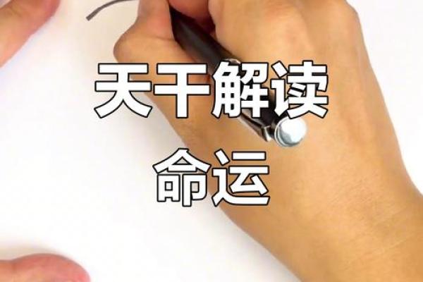 三奇命格解析：揭开命运的神秘面纱，掌握人生的秘密！