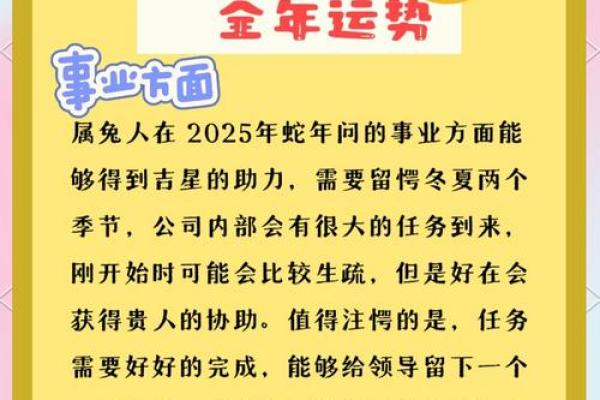 属兔人如何选择五行命理,让生活更顺畅! 属兔人如何选择五行命理,让生活更顺畅!