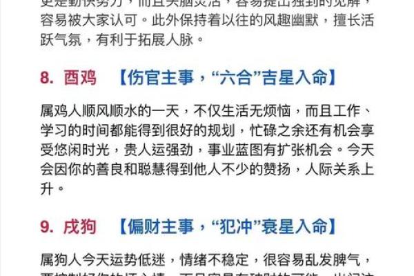 壬午男命：选择理想伴侣的五大关键与建议！