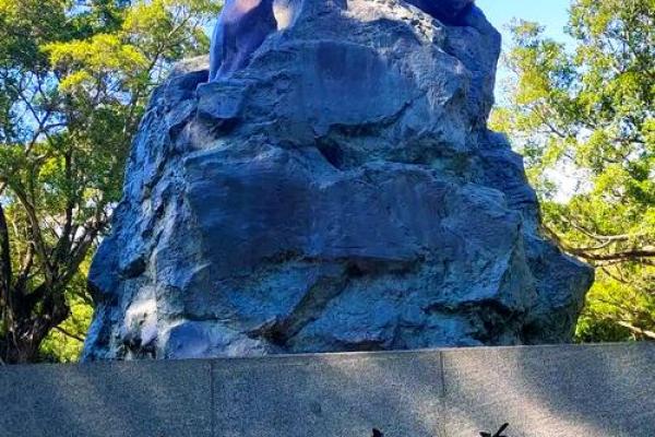 解析杨柳木命八字水多的深层含义与人生启示 解析杨柳木命八字水多的深层含义与人生启示