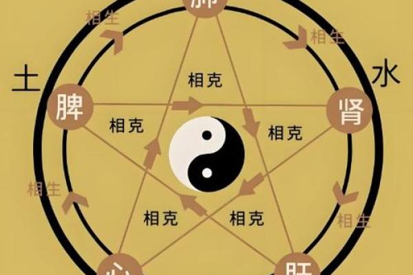 三金二木二火:命理中的独特组合与人生启示 三金二木二火:命理中的独特组合与人生启示