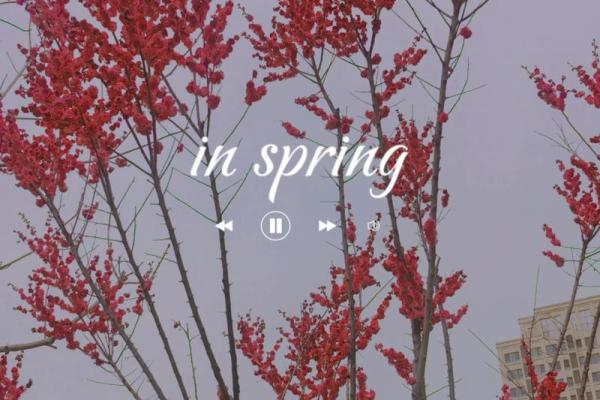 如何选择适合木命的伴侣,让爱情绽放出最美的花朵 如何选择适合木命的伴侣,让爱情绽放出最美的花朵