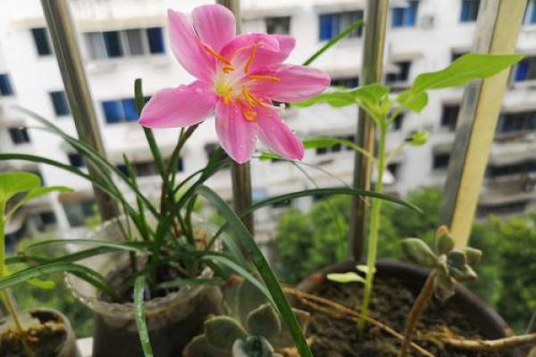 缺木缺水的命理解析与生活启示