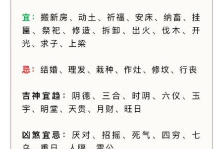 男命亥午暗合探秘：命理中的深意与启示