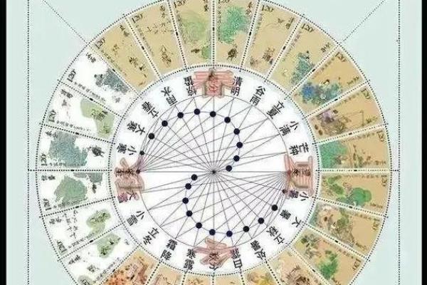 属蛇未时的羊吃草：解密命理与生活的和谐之道