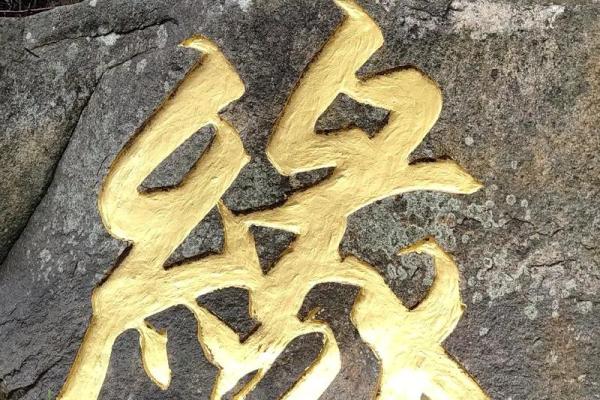 命局金水相逢：探寻人生的光明与流转