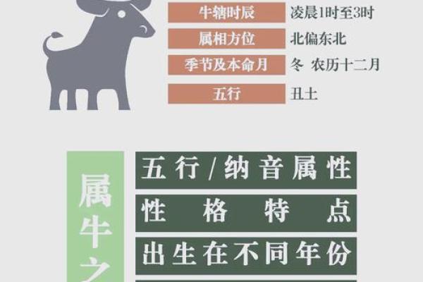 属牛女孩:她们的命运与个性解析 属牛女孩:她们的命运与个性解析