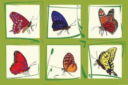 石榴木命的秘密：探寻命理与生活的奇妙联系