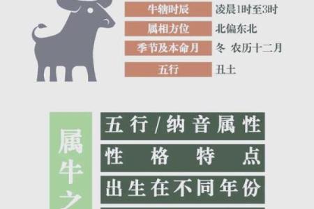 属牛女孩：她们的命运与个性解析