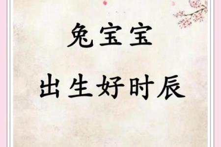 属兔女五月初一的命运解析：2023年财富运势与人生方向