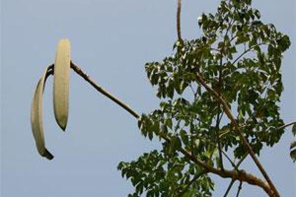 木命者的禁忌：不可携带的物品指引与心得分享