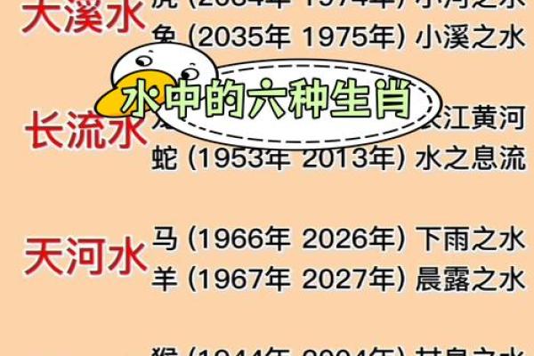 生肖男命好女命差的奥秘：揭秘命运背后的暗流与真相