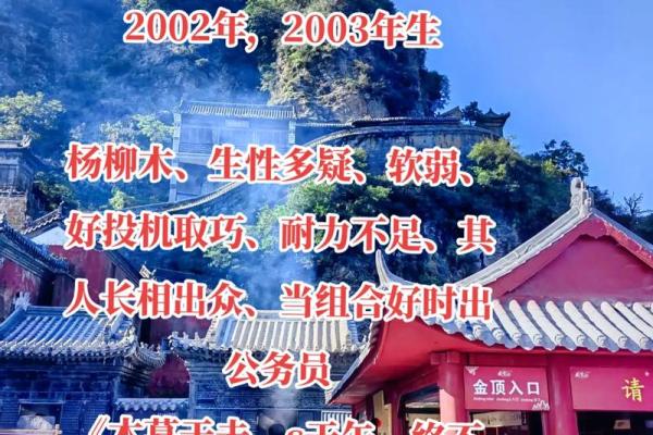 壬午杨柳木命女人的命格解析与性格特征探讨