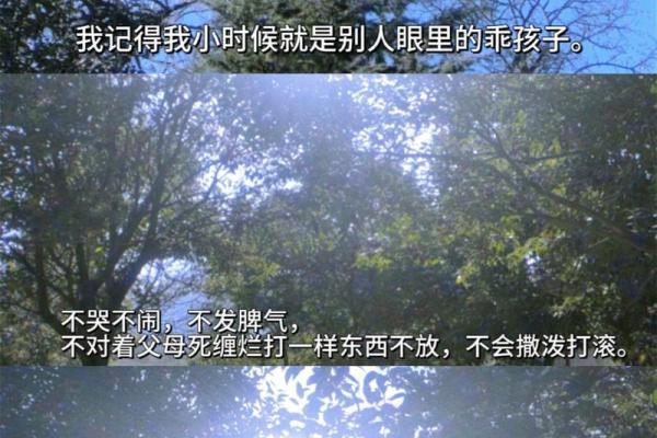 当你视我如命时，我的心情如潮水般涌动的徘徊