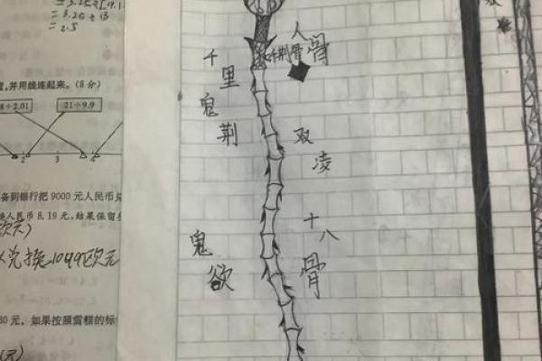 日柱勾绞男命：探索命理中的深意与人生轨迹