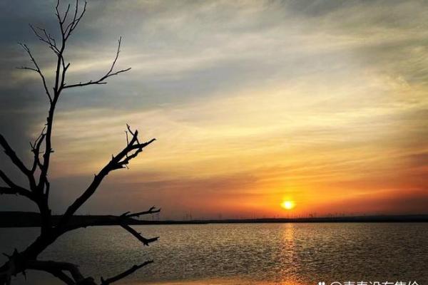 揭开命运的面纱:杨英秀与命运的探索之旅 揭开命运的面纱:杨英秀与命运的探索之旅