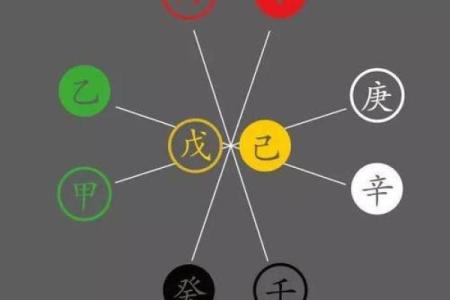 木命者的禁忌：不可携带的物品指引与心得分享