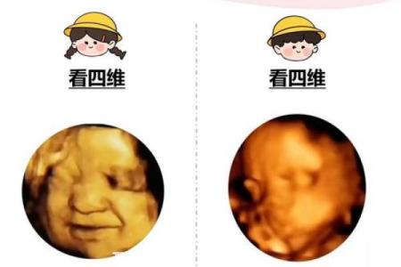 女婴男相：命理玄机与人生发展之道