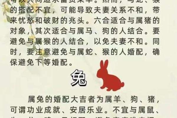 解密兔子的生肖与命运:如何把握人生的机遇与挑战 解密兔子的生肖与命运:如何把握人生的机遇与挑战
