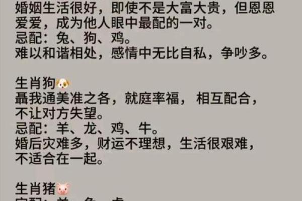 属相年份与婚姻幸福：什么命最好？探秘最佳结合方式！