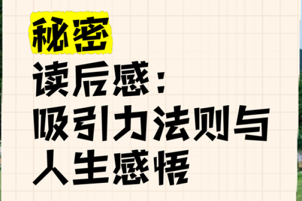 如何查阅自己的命格，解锁人生的秘密和潜力