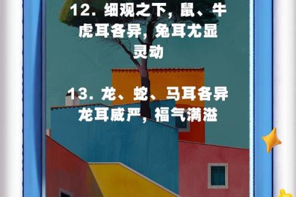 耳朵的形状与财富命运:如何通过耳相看见人生传奇 耳朵的形状与财富命运:如何通过耳相看见人生传奇