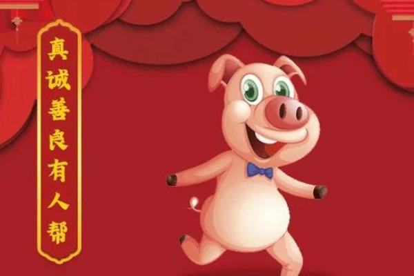 属猪人生来福气多，探索其背后命理之谜！