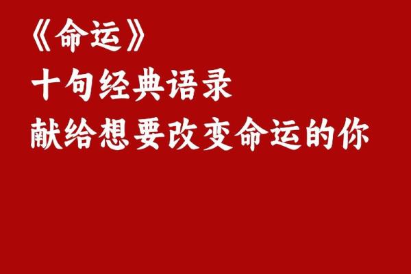 如何解读命运:揭开“好命”的真谛与标准! 如何解读命运:揭开“好命”的真谛与标准!