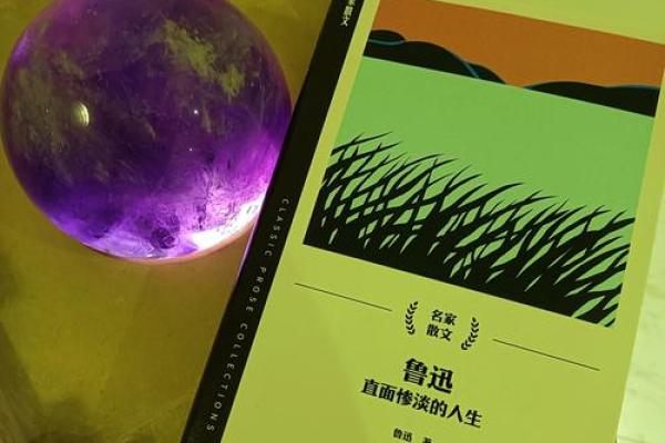 嗜书如命：书籍如何塑造我们的灵魂与生活