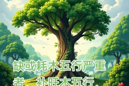 属木命的你，适合做什么生意？深度探索木命创业之路！