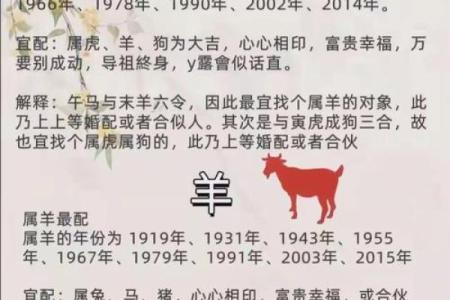 属相年份与婚姻幸福：什么命最好？探秘最佳结合方式！